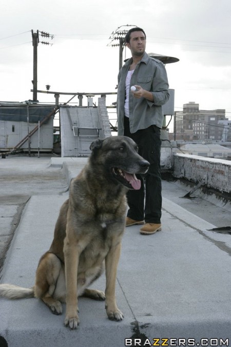 Грудастая блондинка Amy Reid с восхитительными длинными ногами и нежной попкой впускает в себя большой хуй